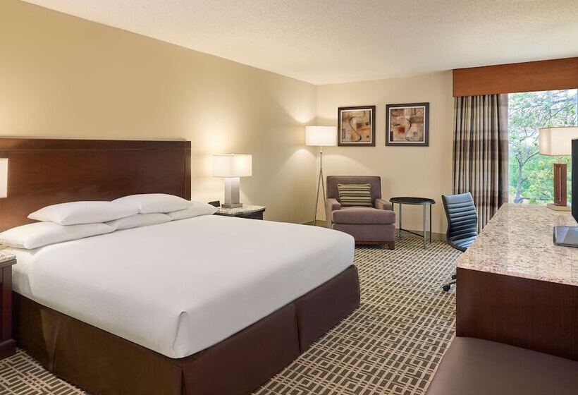 סוויטה, Doubletree By Hilton Houston Intercontinental Airport