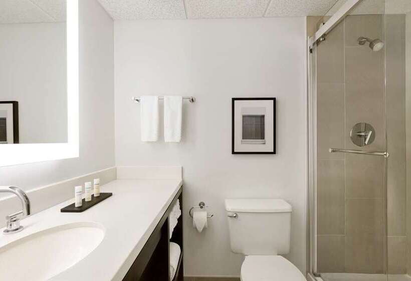 套房, Embassy Suites By Hilton Chicago Lombard Oak Brook