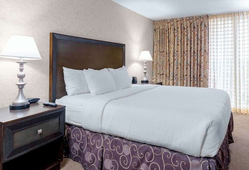 家庭套房, Embassy Suites By Hilton Kansas City Plaza