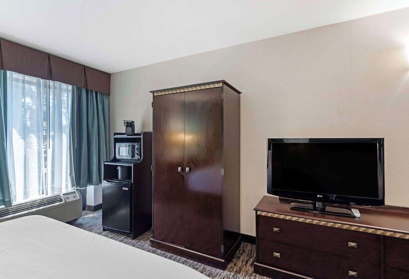 Quarto Standard 2 Camas Casal, Best Western Plus Chicagoland  Countryside