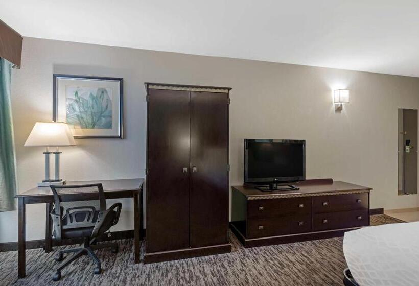 Quarto Standard Cama King, Best Western Plus Chicagoland  Countryside