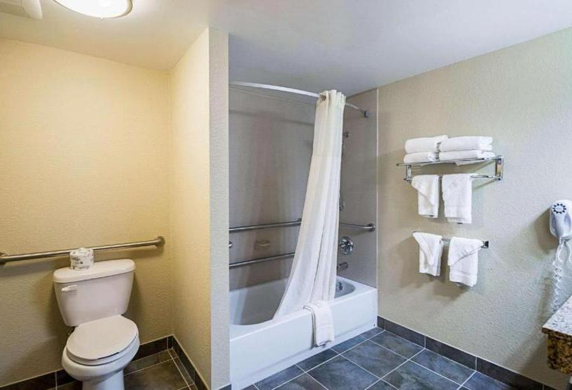 Номер Стандарт Адаптированный для Инвалидов, Econo Lodge Hagerstown I 81