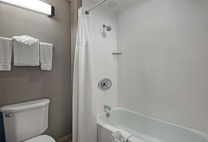 带2个卧室的套房, Homewood Suites By Hilton Chicago Lincolnshire