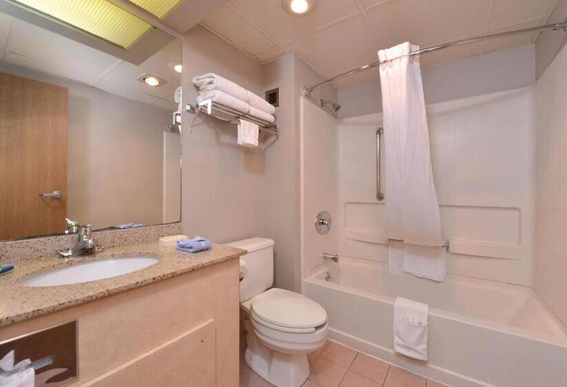 Стандартный Номер Кровать Кинг, New Victorian Inn & Suites Omaha