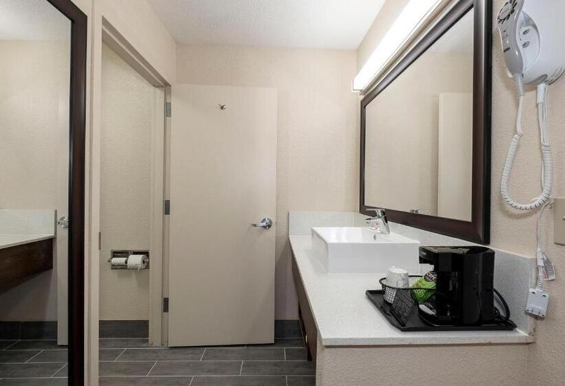 Номер Superior Кровать Кинг, Red Roof Inn Freehold
