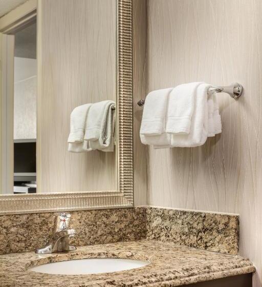 Номер Стандарт 2 Двуспальные Кровати, Holiday Inn Resort Galveston   On The Beach, An Ihg