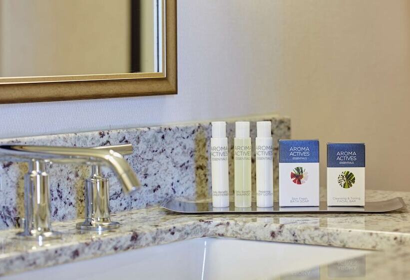 장애인용 주니어 스위트, Doubletree By Hilton Washington Dc   Crystal City
