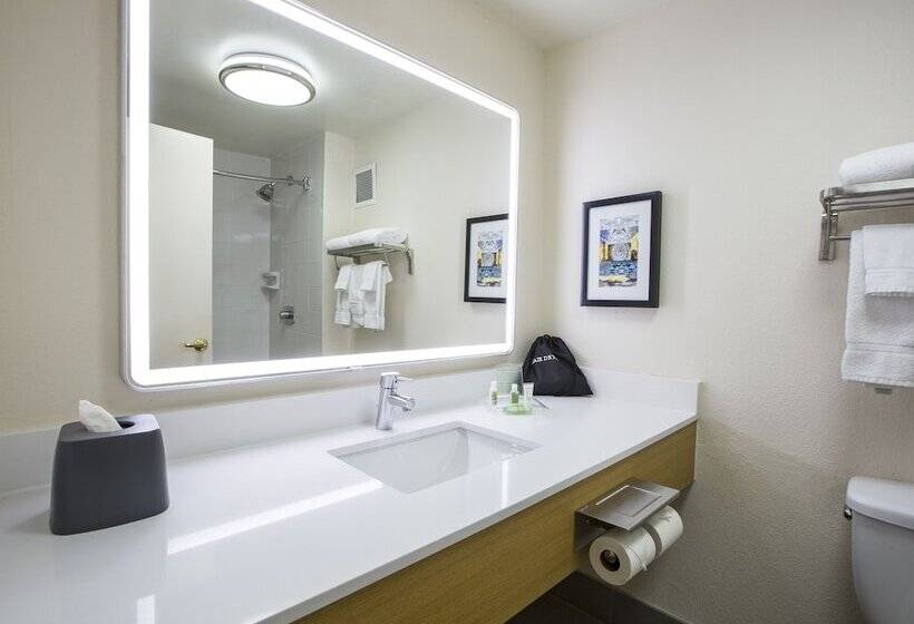 Номер Стандарт, Holiday Inn Chicago North Shore, An Ihg