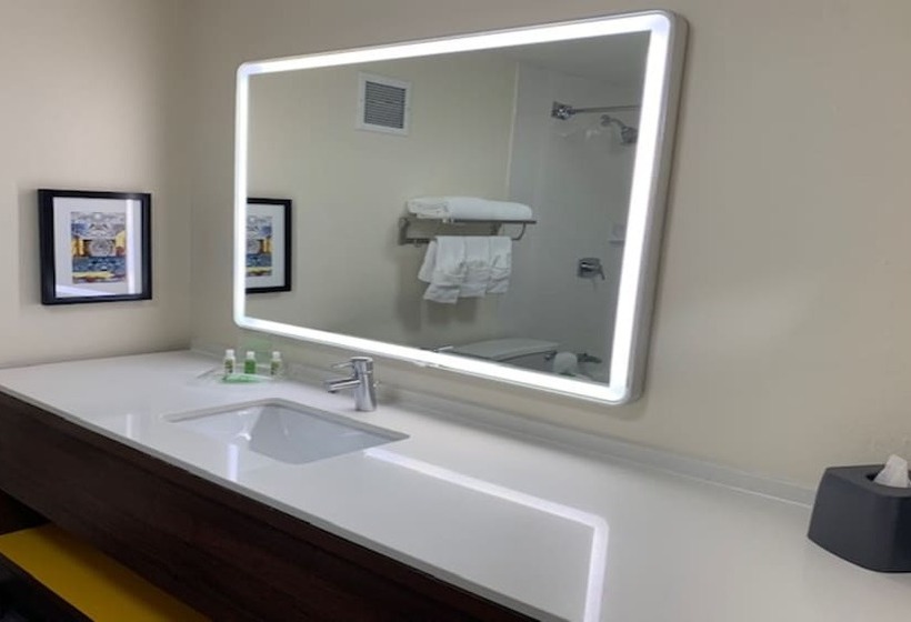 Номер Стандарт 2 Двуспальные Кровати, Holiday Inn Chicago North Shore, An Ihg