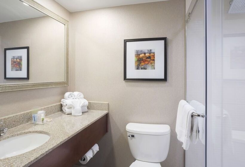 Номер Стандарт 2 Двуспальные Кровати, Holiday Inn Cincinnati Riverfront, An Ihg