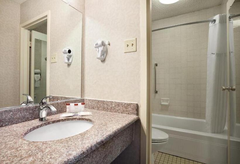 스탠다드 룸 킹사이즈 침대, Ramada By Wyndham Sunnyvale/silicon Valley