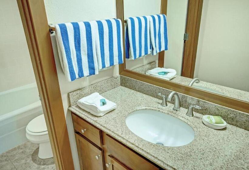 Студия Стандарт, Seventh Mountain Resort
