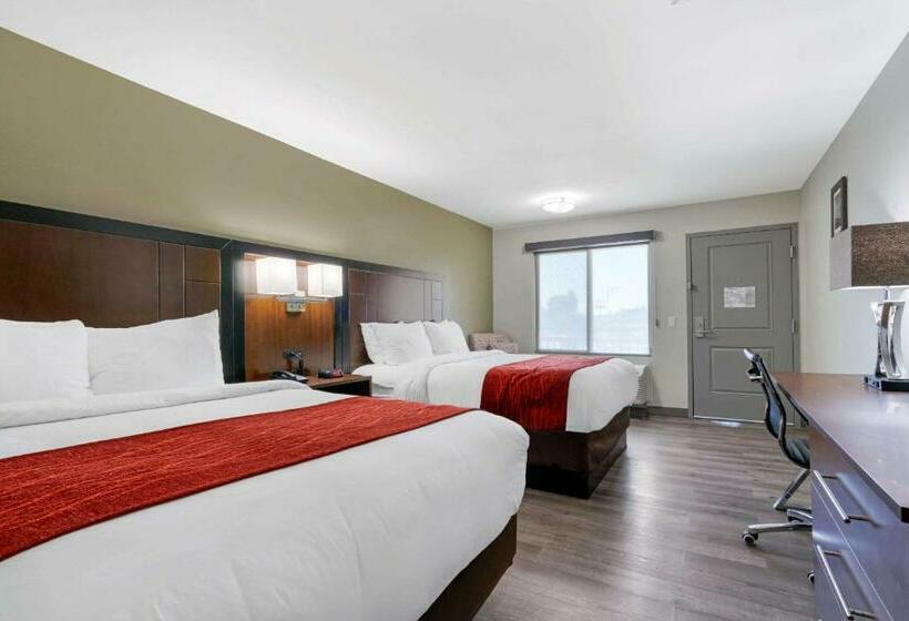 StandaardKamer, Comfort Inn