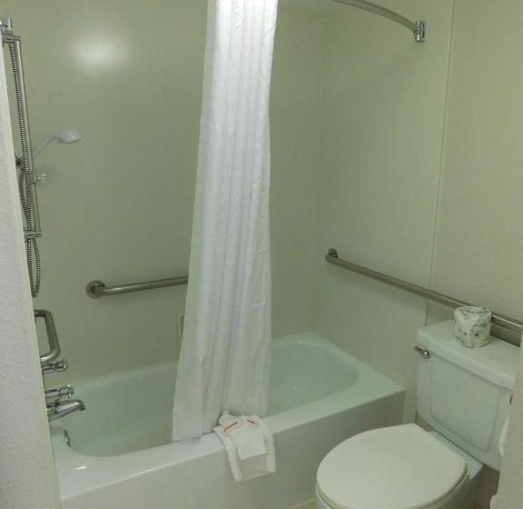 Standard Szoba King Size Bed, Days Inn & Suites By Wyndham Schaumburg  Woodfield Mall