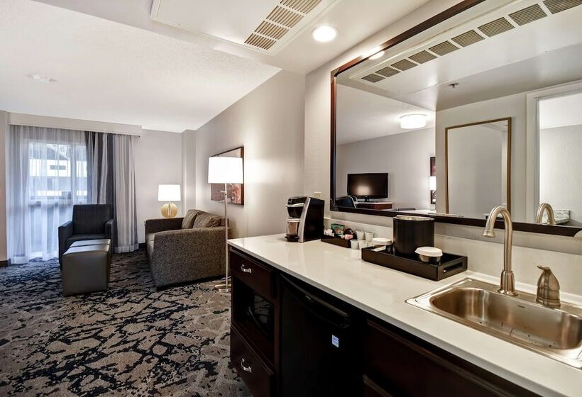 스위트, Embassy Suites By Hilton Montgomery Hotel & Conference Ctr