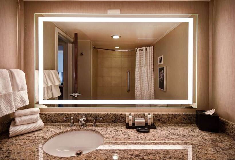 장애인을 위한 스위트, Embassy Suites By Hilton Montgomery Hotel & Conference Ctr