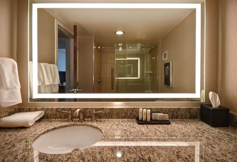 프리미엄 스위트, Embassy Suites By Hilton Montgomery Hotel & Conference Ctr