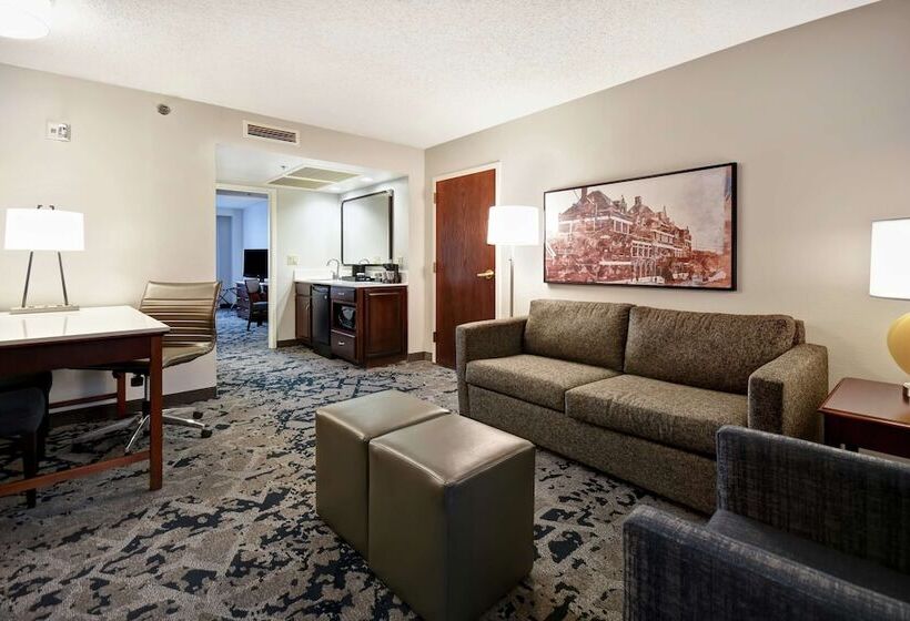 프리미엄 스위트, Embassy Suites By Hilton Montgomery Hotel & Conference Ctr