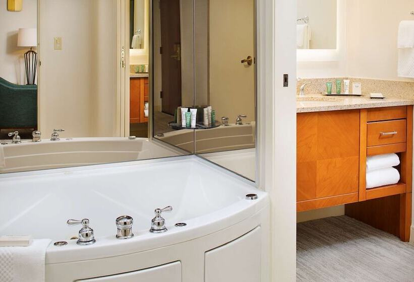 סוויטה אקזקיוטיב, Hilton Suites Atlantaperimeter