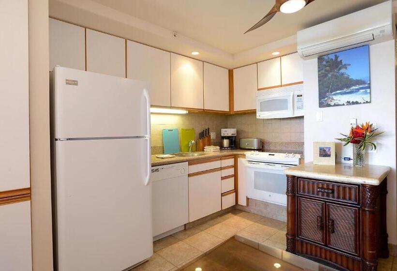 2 Bedroom Premium Apartment Sea View, Mana Kai Maui   Official Onsite Rental Company