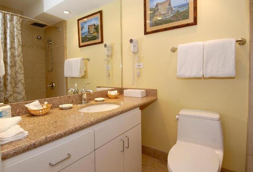 2 Bedroom Premium Apartment Sea View, Mana Kai Maui   Official Onsite Rental Company