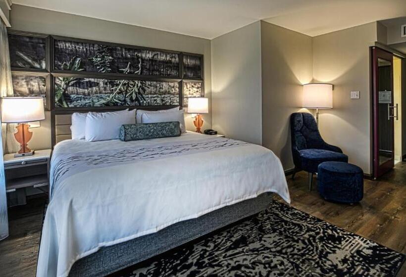 스위트 킹사이즈 침대, Indigo   Birmingham Five Points S   Uab, An Ihg