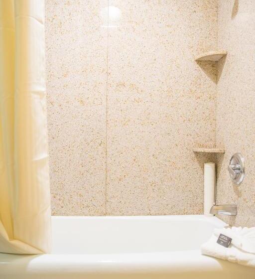 Quarto Executivo Cama King, Oakland Airport Executive