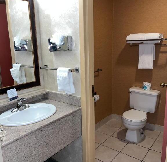 Номер Deluxe Кровать Кинг, Quality Inn And Conference Center Greeley Downtown