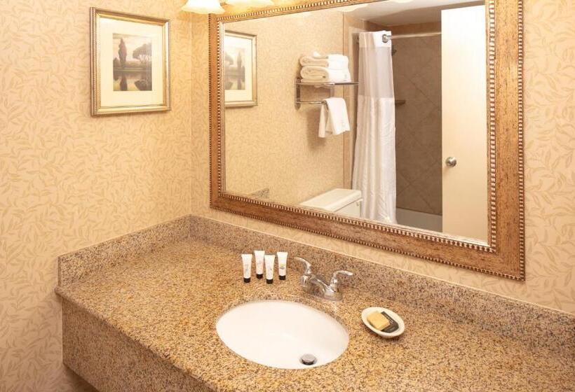 Стандартный Номер Кровать Кинг, Red Lion Hotel Pocatello