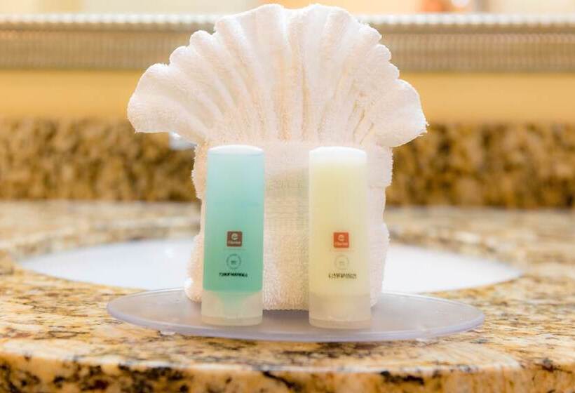 ２ダブルベッドのスタンダードルーム, Clarion Inn Elmhurst  Oak Brook Near I88, I290, I294