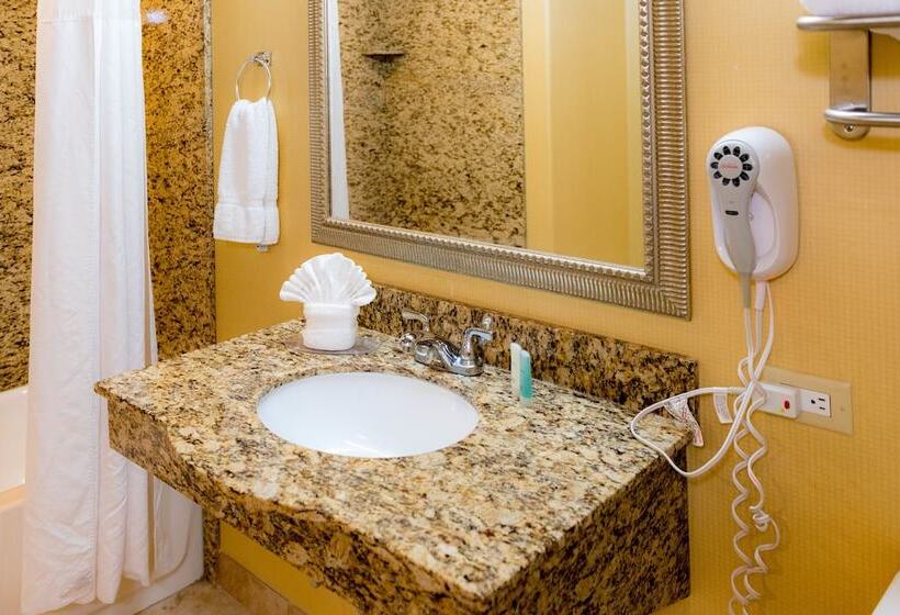 スイート, Clarion Inn Elmhurst  Oak Brook Near I88, I290, I294