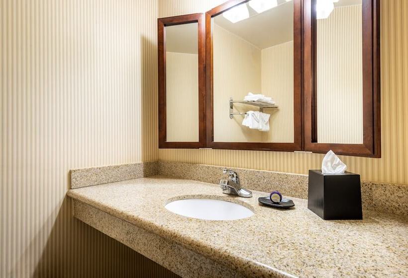 Standard-huone, Anaheim Majestic Garden