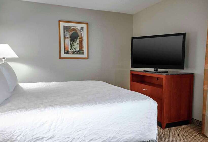 주니어 스위트 킹사이즈 침대, Hilton Boston Logan Airport