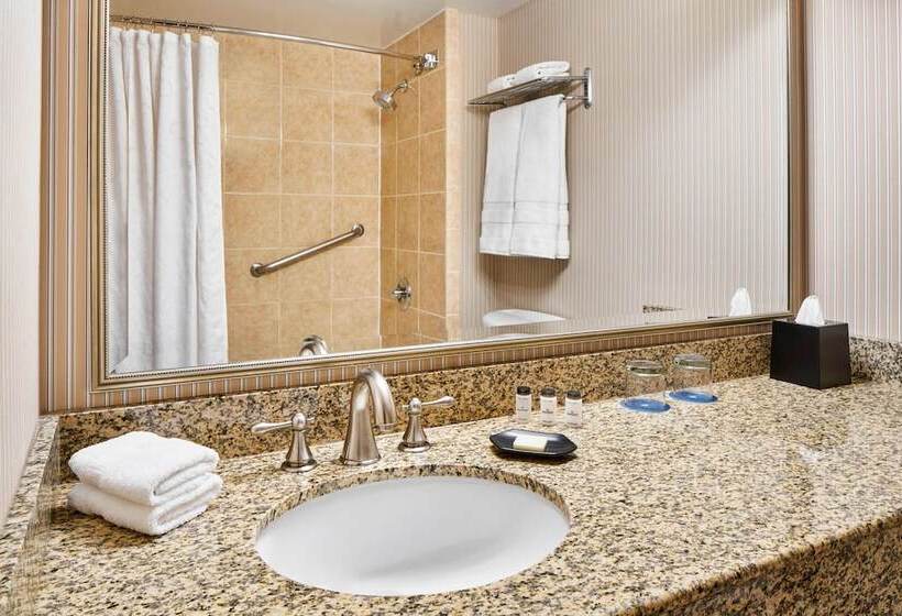 장애인을 위한 더블 침대 스탠다드 룸, Sheraton Inner Harbor