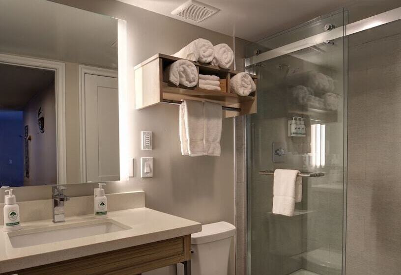 标准间, Greentree Inn Flagstaff