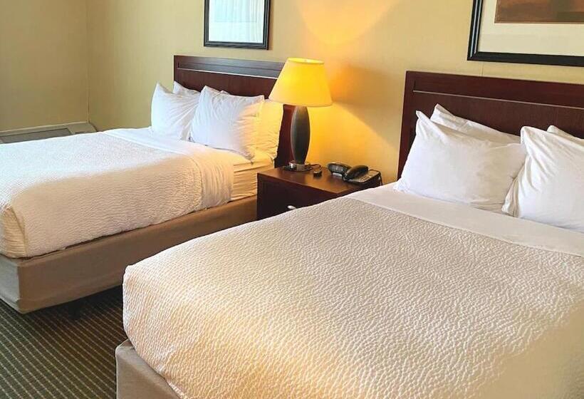 스탠다드 룸 킹사이즈 침대, Quality Inn West Lafayette   University Area