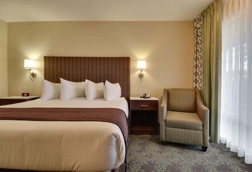 Номер Стандарт, Vagabond Inn Bishop