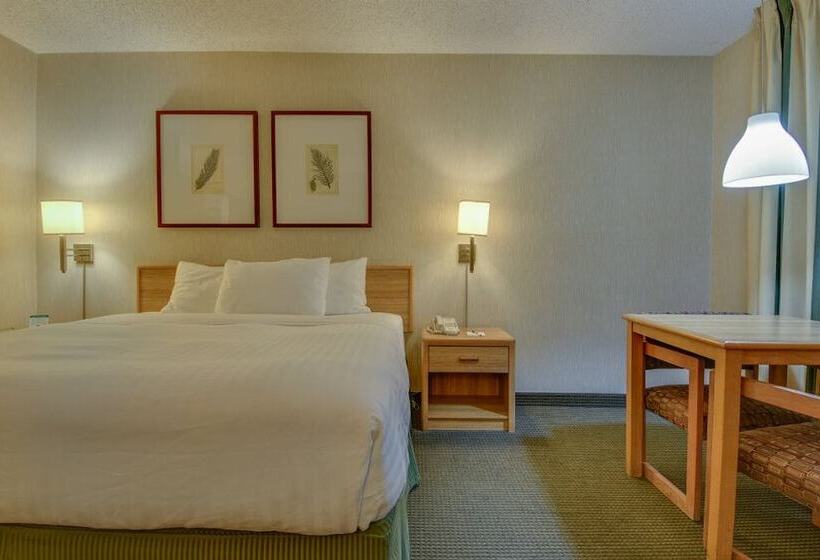 商务房间, Vagabond Inn Los Angeles At Usc