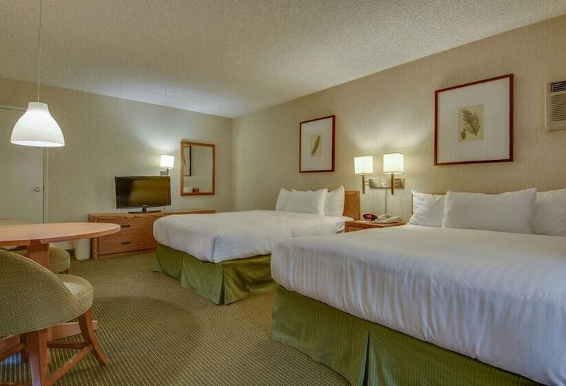 带2个双人床的标准工作室, Vagabond Inn Los Angeles At Usc