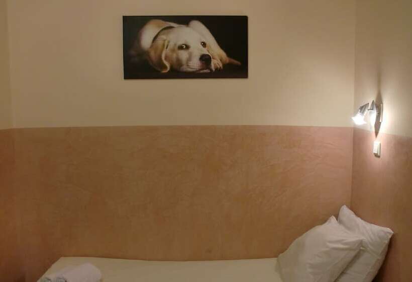 스탠다드 룸, Budget Hotel Neutraal