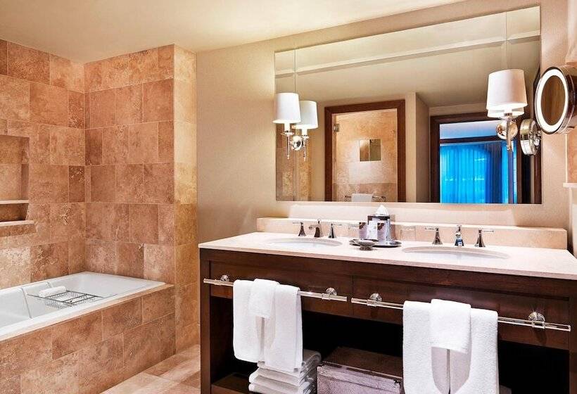 带2个卧室的套房, St. Regis Aspen Resort