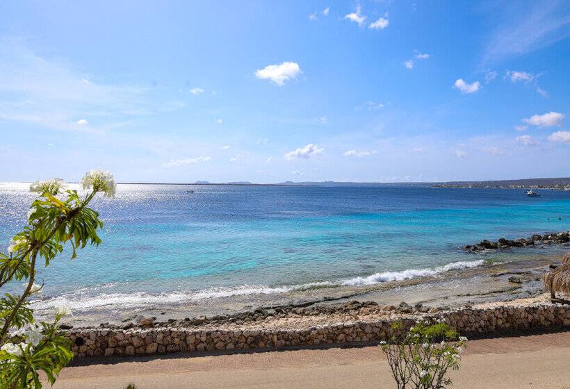 سوییت با چشم‌انداز دریا, Van Der Valk Plaza Beach & Dive Resort Bonaire