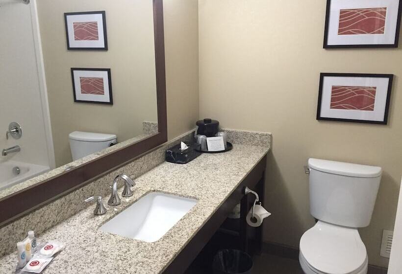 Номер Стандарт 2 Двуспальные Кровати, Comfort Inn Msp Airport  Mall Of America