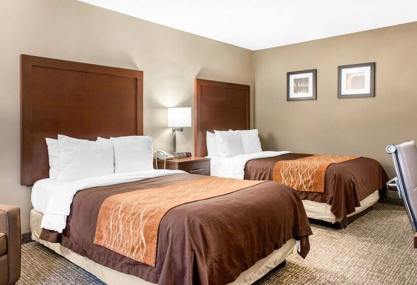 Номер Стандарт 2 Двуспальные Кровати, Comfort Inn Msp Airport  Mall Of America