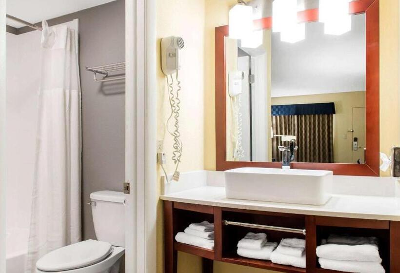Стандартный Номер Кровать Кинг, Escape Inn Hershey
