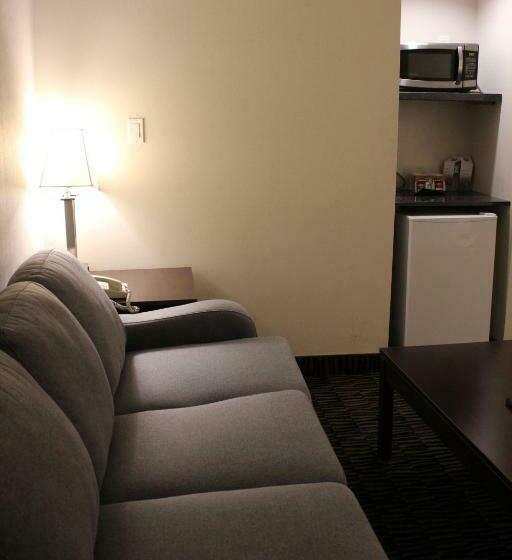 キングサイズベッドのスイートルーム, Ramada Plaza By Wyndham Niagara Falls