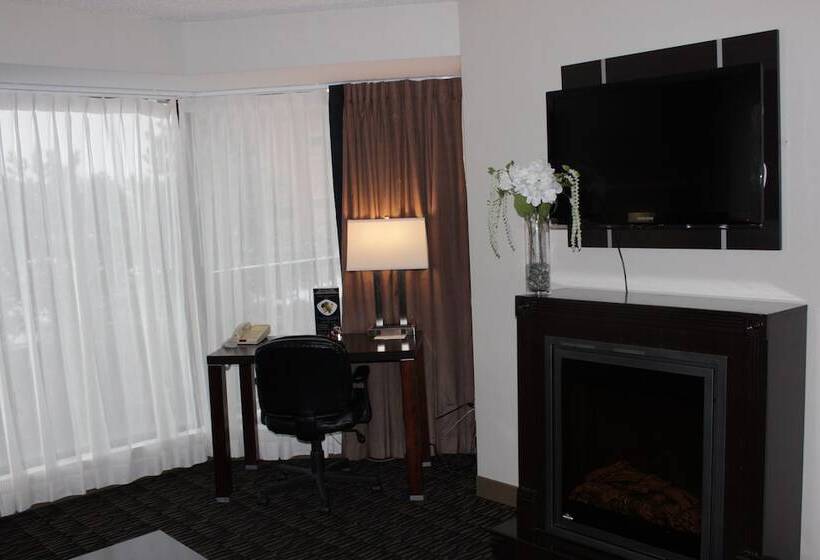 スイート, Ramada Plaza By Wyndham Niagara Falls
