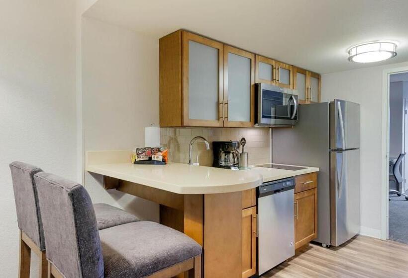 带大床的套房, Staybridge Suites Orlando Royale Parc Suites, An Ihg