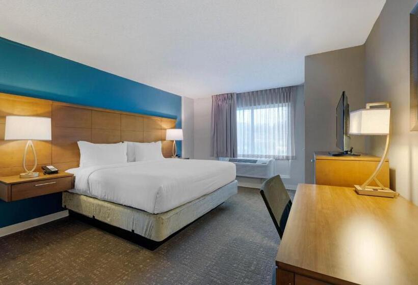 适合残疾人士使用的套间, Staybridge Suites Orlando Royale Parc Suites, An Ihg
