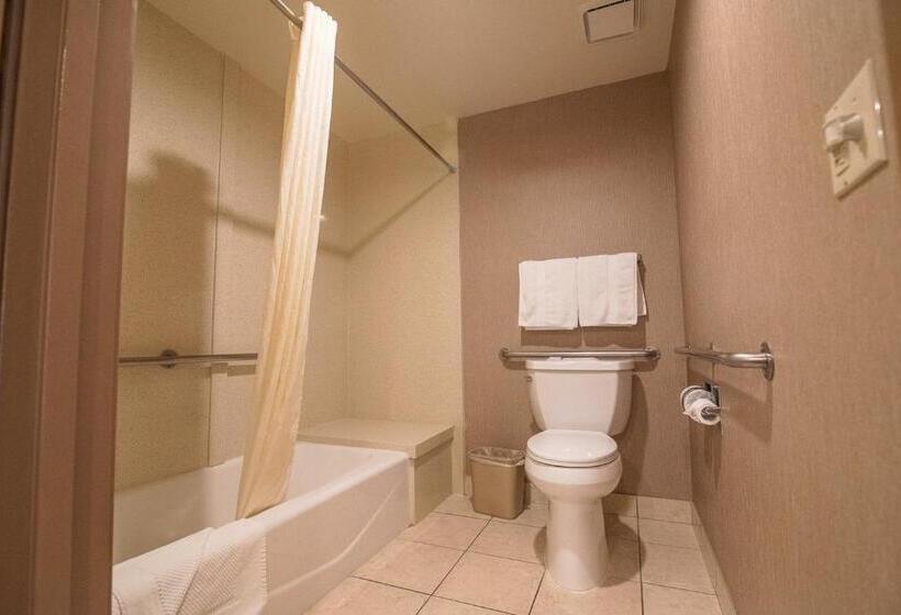 Номер Стандарт Кровать Кинг Адаптированный для Инвалидов, Best Western Plus Redondo Beach Inn